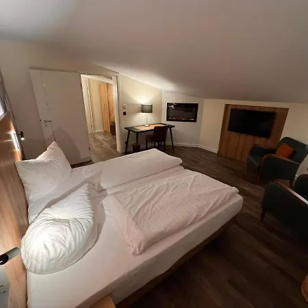 Hotel Hotel-restaurant Amadeus