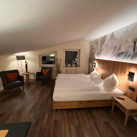 Hotel-restaurant Amadeus 3*