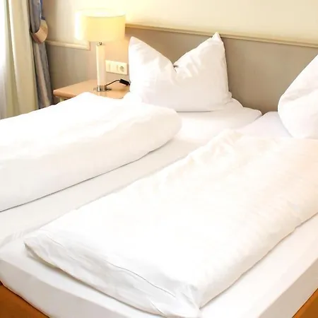 Hotel Hotel-restaurant Amadeus