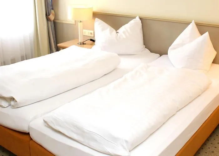 Hotel Hotel-restaurant Amadeus